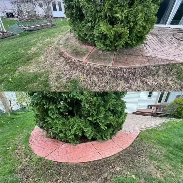 Brick patio cleaning before and after in Saline MI